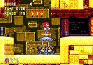 Knuckles in the section, where the capsule is already opened.