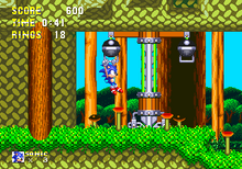 Mushroom Hill Screen