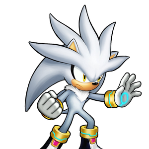 Image result for silver hedgehog