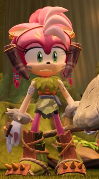 Amy Rose (Sonic Prime), Heroes Wiki