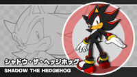 Shadow the Hedgehog