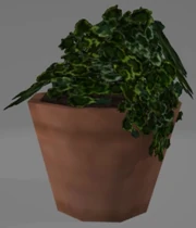 Generations Unused Plant Green