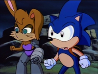 Bunnie and Sonic