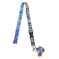 Lanyard