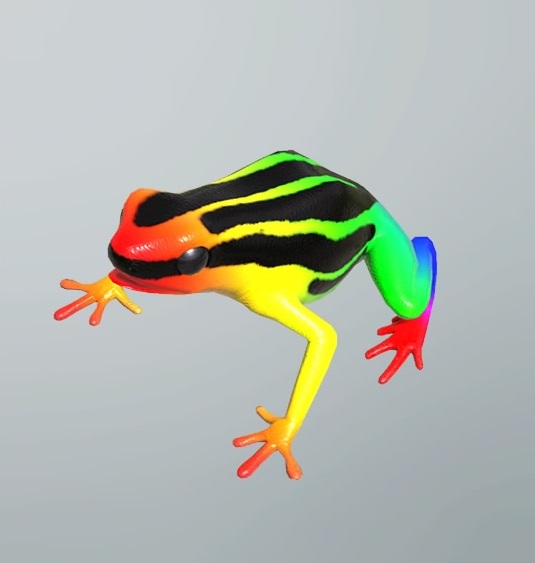 Rainbow poisonous deals frogs