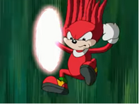 "New Echidna in Town"