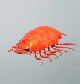 FP redgiantisopod