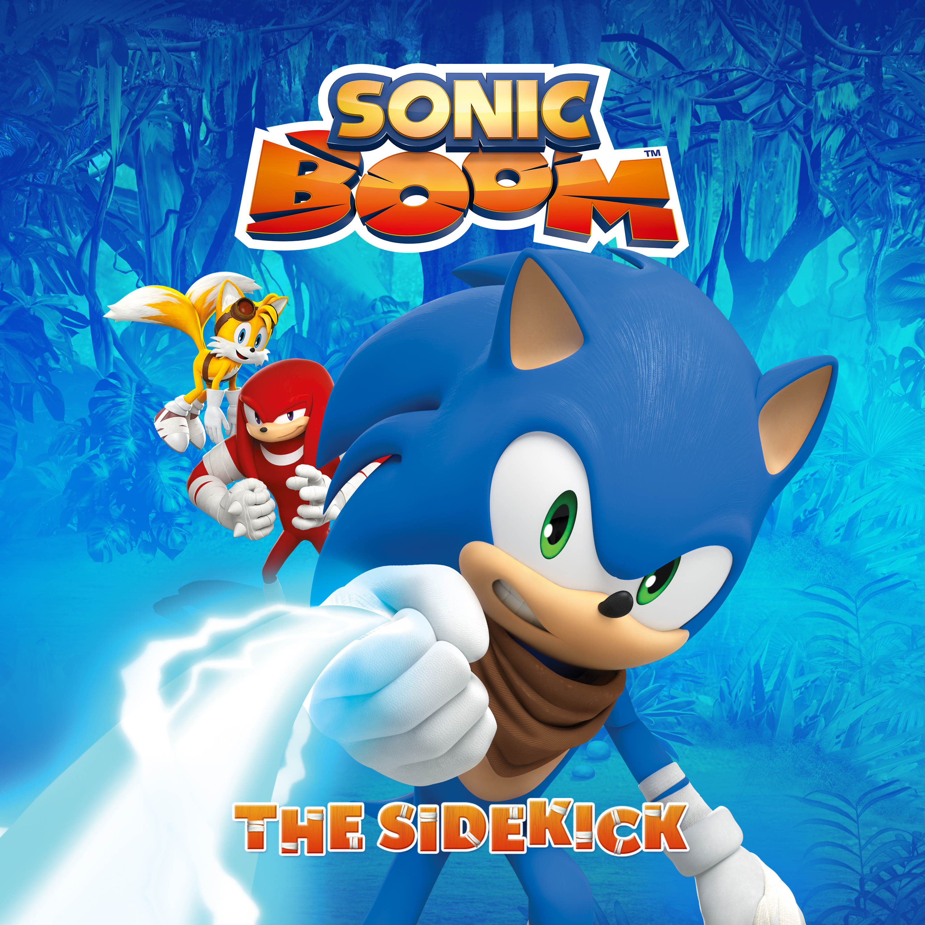 Sonic Boom, The Sidekick
