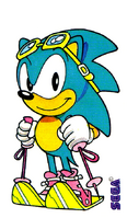 Sonicbollycaoesquiador