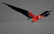 Ssz obj ParrotsA fly.anm.hkx