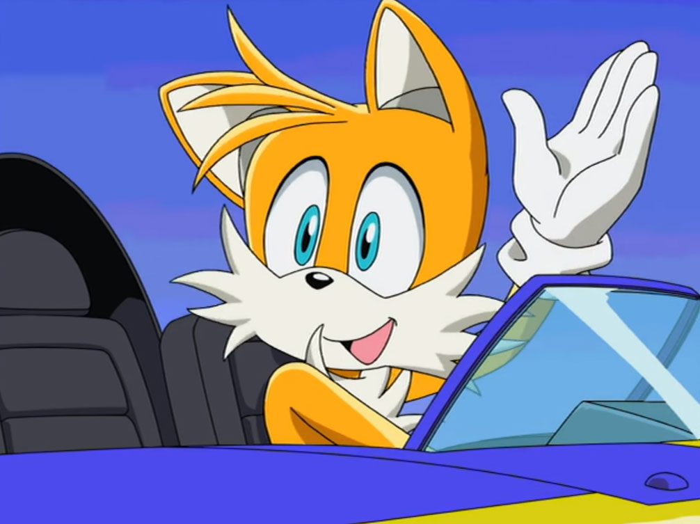 Tails was riding the plane.jpg