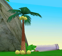 Hero Garden palmtree