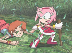 Amy Rose, Sonic X Wikia