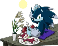September 2013 - Sonic the Werehog and Chip