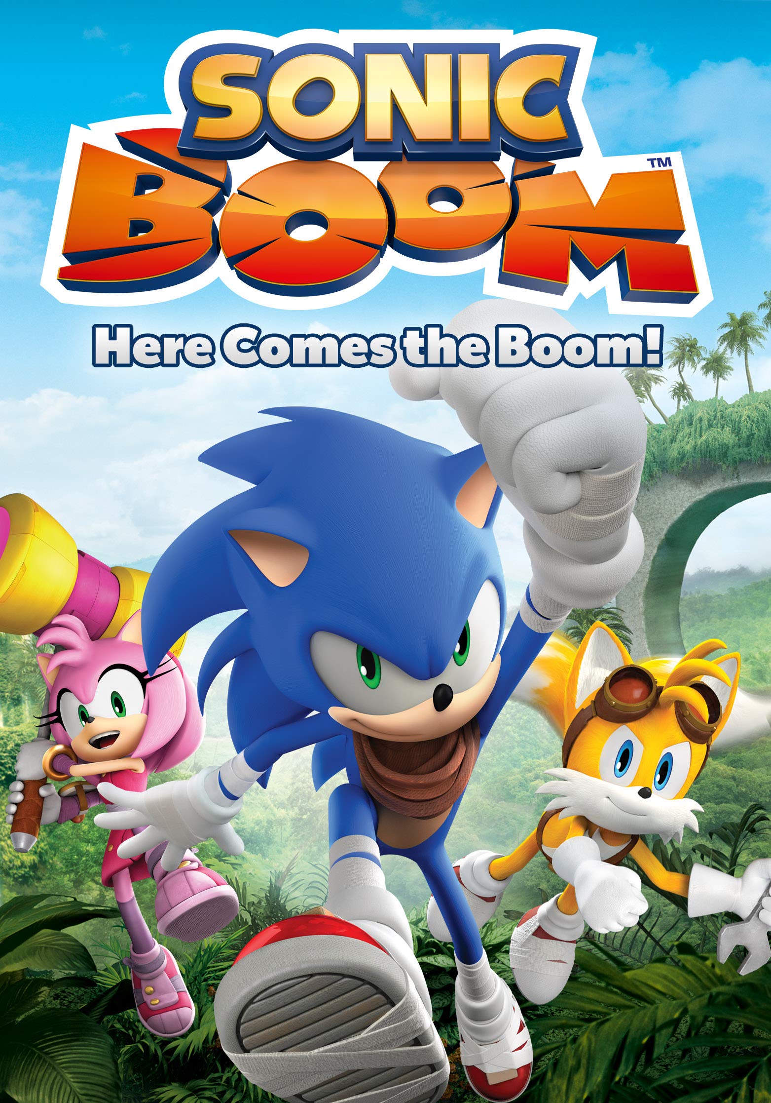 Sonic the Hedgehog (Sonic Boom), Sonic Zona Wiki