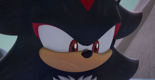 Shadow looks concerned