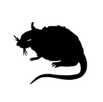 Stray Rats logo
