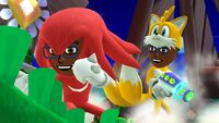 A Mii Brawler and a Mii Gunner in Knuckles and Tails costumes, respectively.