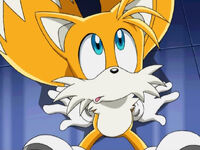 Tails033