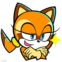 Marine the Raccoon