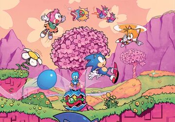 Sonic the Hedgehog Shaped Puzzle, Sonic Wiki Zone
