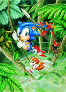 Sonic Hedgehog 2 - Artwork - (6)