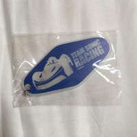 Team Sonic Racing motel keychain