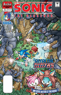 SONIC The HEDGEHOG Comic Book Issue #241 November 2012 AMY ROSE