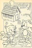 §80 - Sonic and Tails noticing Whiffy's house