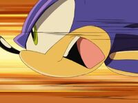 Sonic X A Wild Win Sonic runs to save Cream 