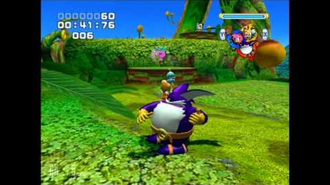 Sonic_Heroes_Team_Blast_Glitch