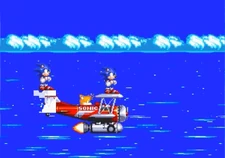 Sonic on a corrupted "S" Monitor with another Sonic on the Tornado.