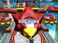 Egg Hawk 02
