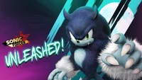 SFSBUnleashed.jpg (257 KB)