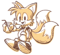 Sonic the Hedgehog Café Collection