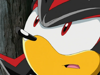 ShadowTheBeautifulHedgehog