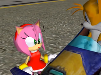 Amy and Tails on Prison Island