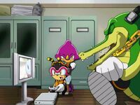 Dvd chaotix