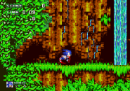 Sonic wbiega na wyspę