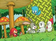 IDW Mushroom Hill