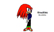 Knuckles the echidna is Sonic's long-time rival/friend who has become his personal guard.