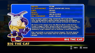 Sonic and Sega All Stars Racing bio 10