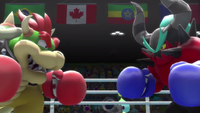 Mario & Sonic at the Rio 2016 Olympic Games