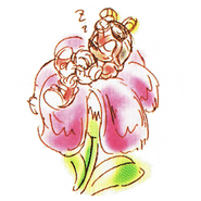 Artwork de Charmy durmiendo en una flor, del manual japonés de Knuckles' Chaotix.