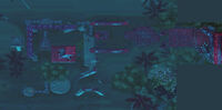 End of the World (Tropical Jungle)