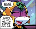 Echo telling the Chaotix that she is worried about the princess, from .