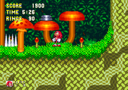 Sonic & Knuckles