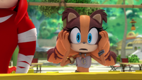 Sonic Boom ganha nova personagem, Sticks - NerdBunker