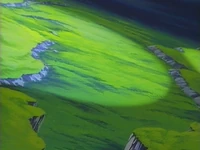 A wide field in the Land of Darkness.