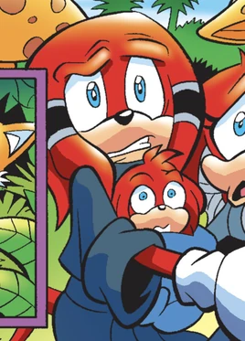 Wynmacher profile 181